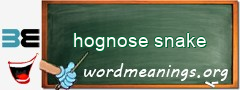 WordMeaning blackboard for hognose snake